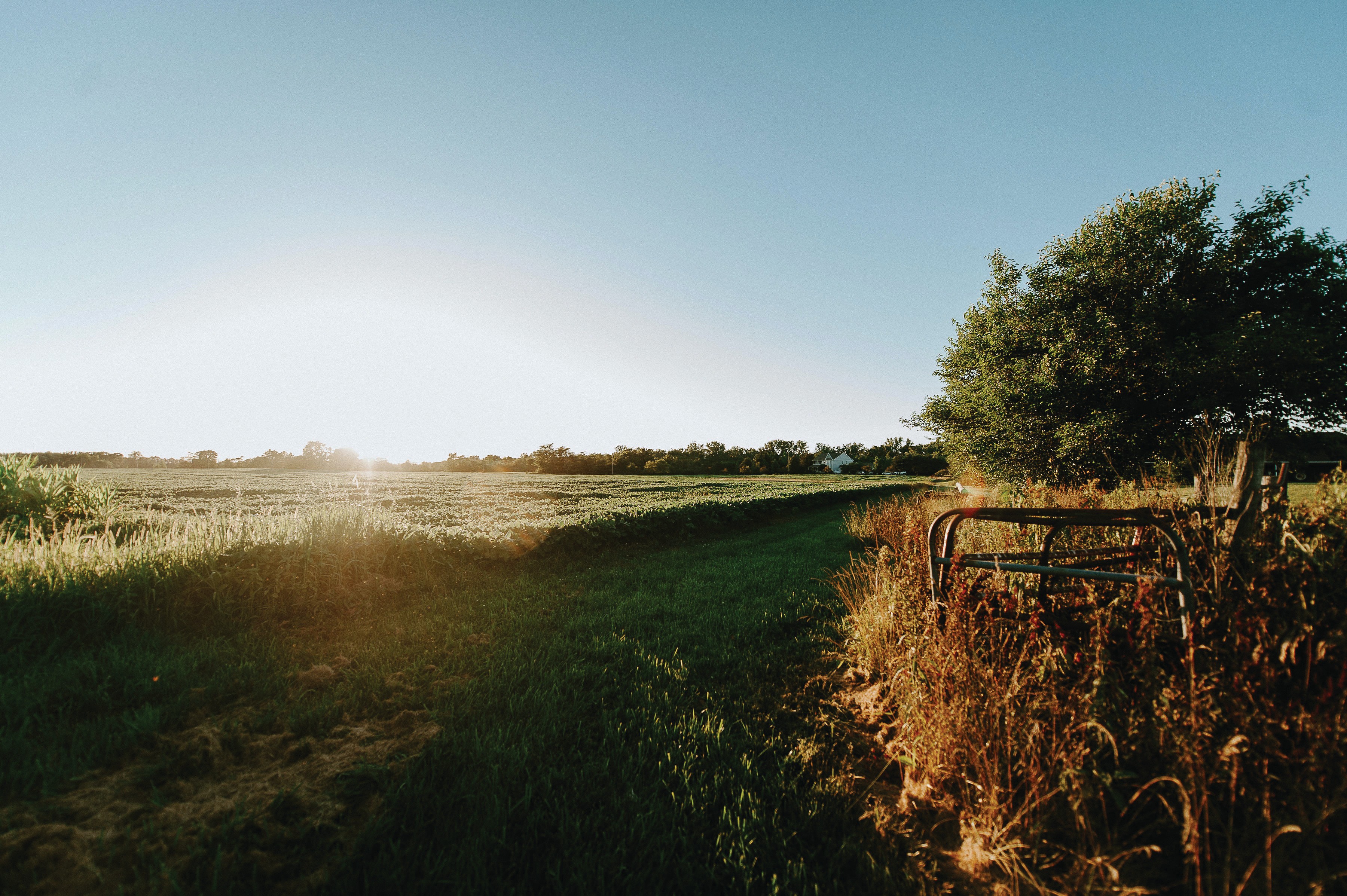 Farm field at sunrise